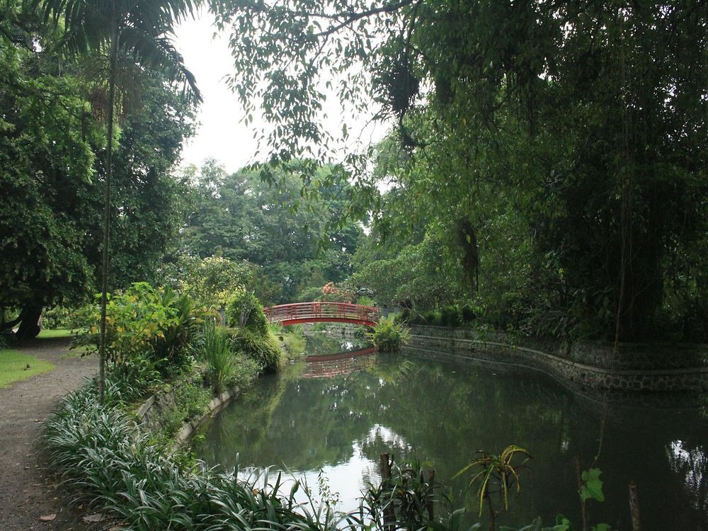 Jardin botanique de Bogor