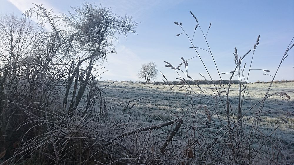 Matin glacé en Corrèze