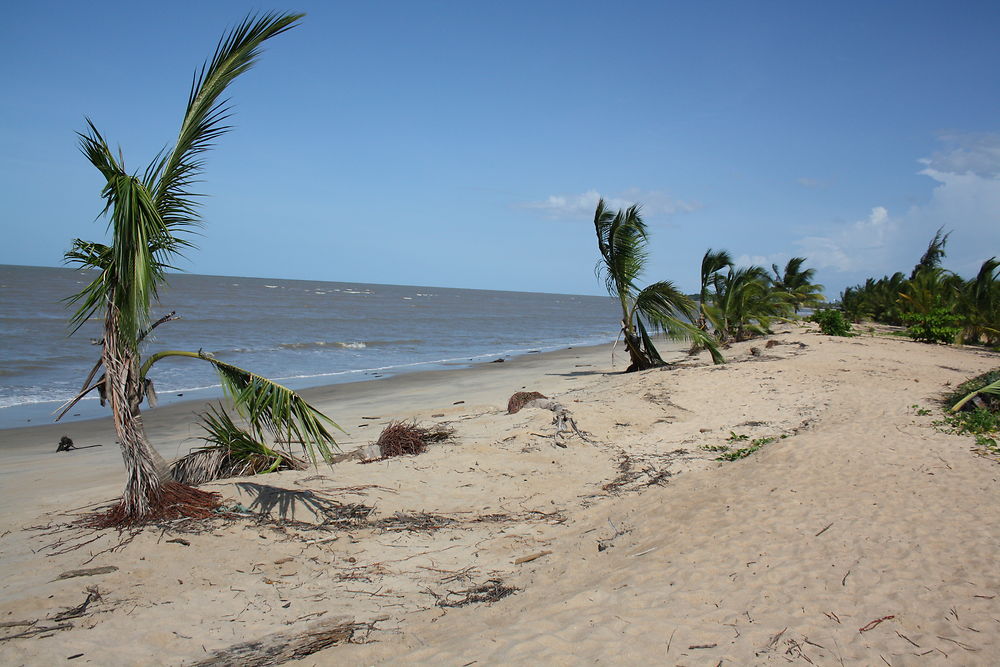 Plage des salines en Guyane