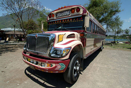 Bus Bus
