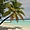 Photo hôtel Maayafushi Island Resort