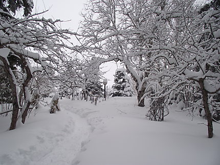 Paysage d'hiver aux Jardins de Métis