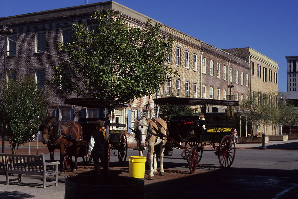 City market à Savannah