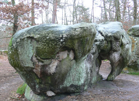 Rocher de l'éléphant Rocher de l'éléphant