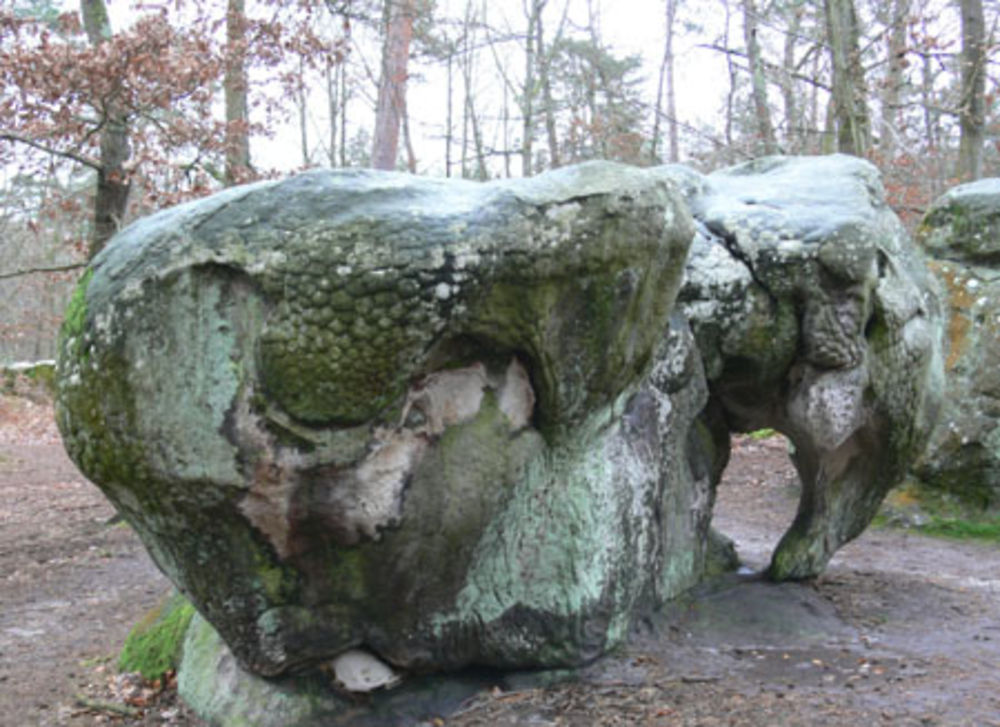 Rocher de l'éléphant