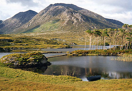 sauvage Connemara