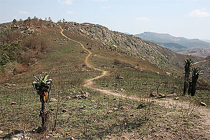 swaziland paysage