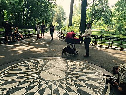 Central park NYC