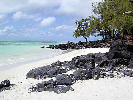 Ile aux cerfs