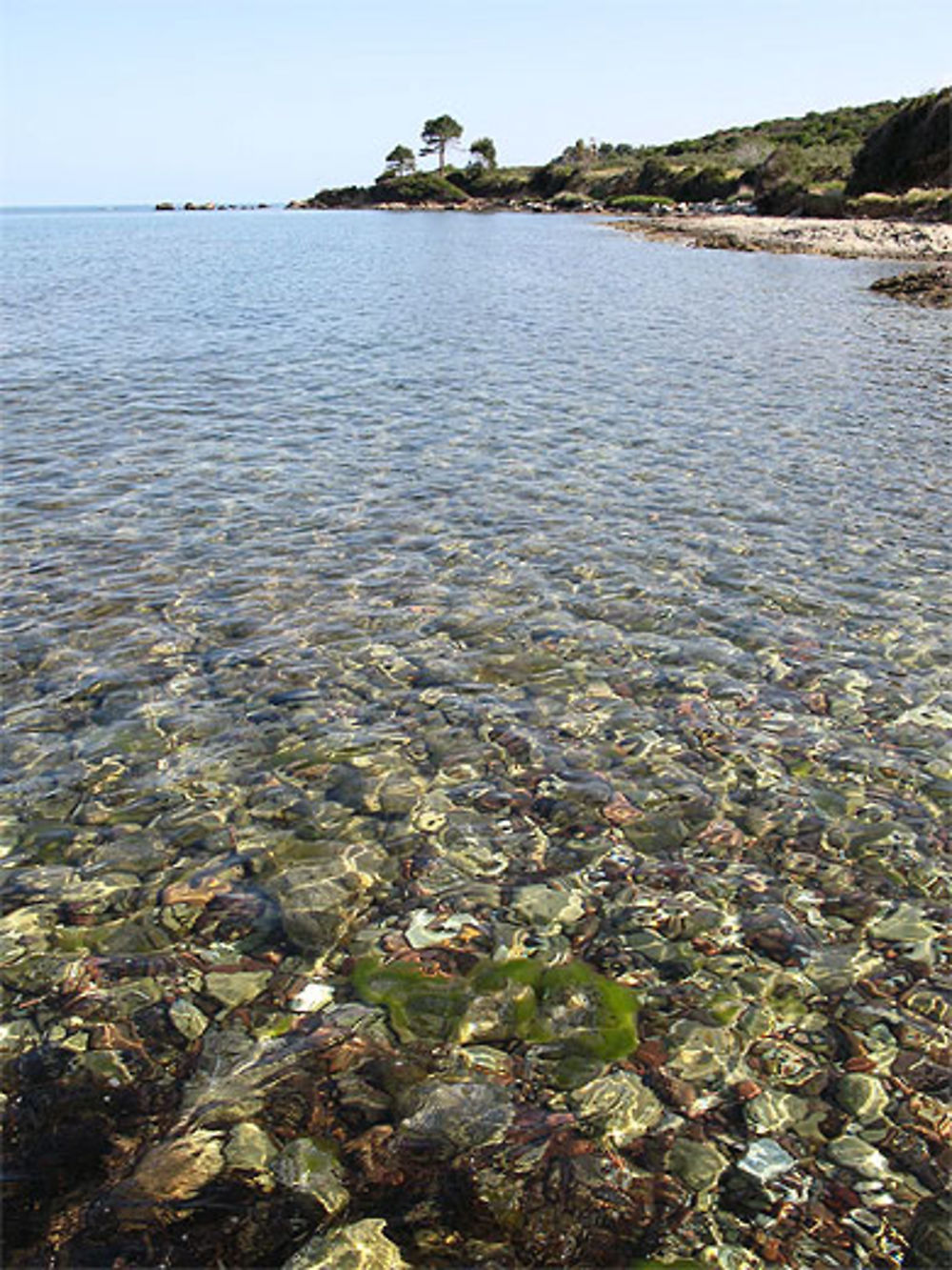 La côte de la marine de Farinole