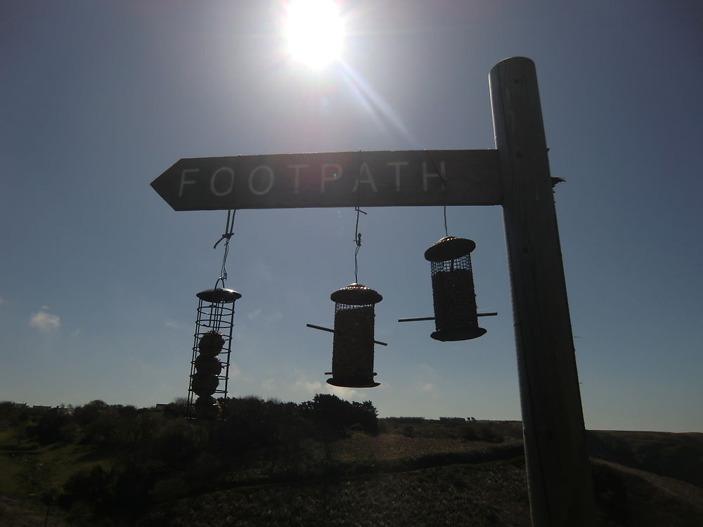 Le restaurant des oiseaux