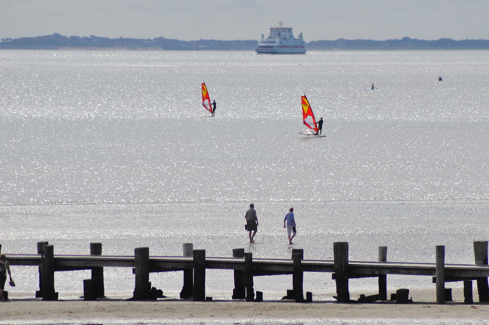 Balade, voile ou bateau : le choix !