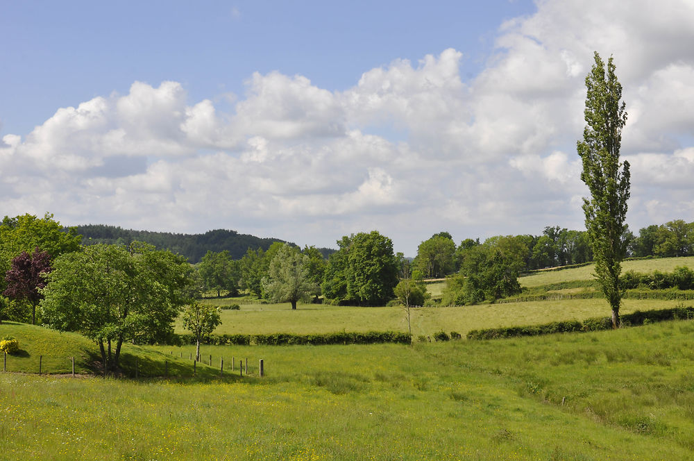 Chauffailles, campagne du charolais-brionnais 