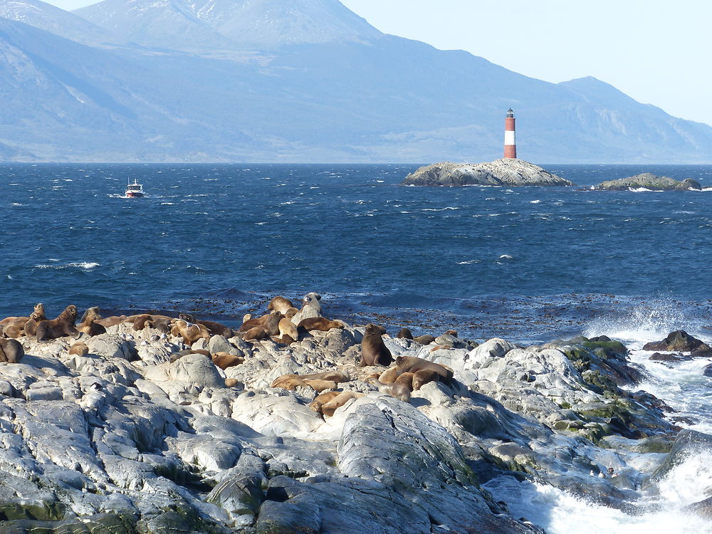 Le phare du bout du monde 