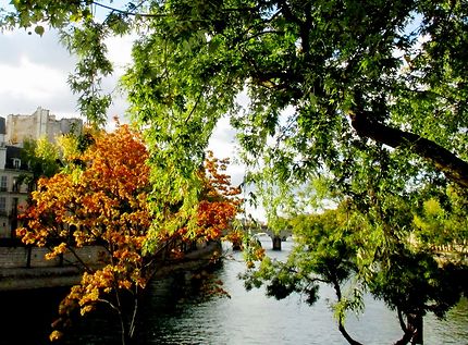 La Seine en automne, Paris