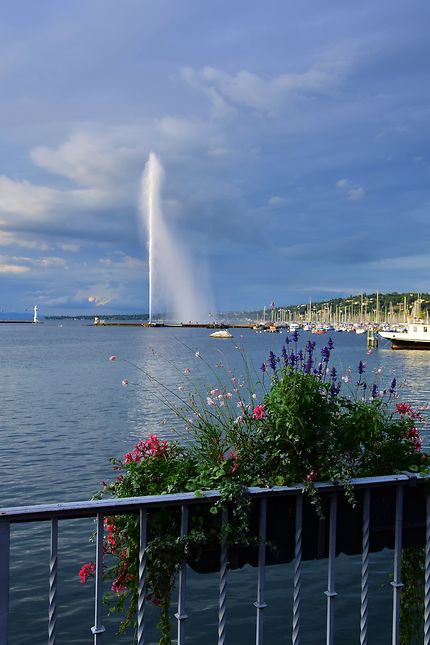 Fleurs et jet d'eau de Genève