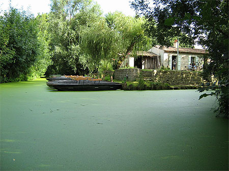 Marais poitevin Saint-Hilaire la Palud Marais poitevin Saint-Hilaire la Palud
