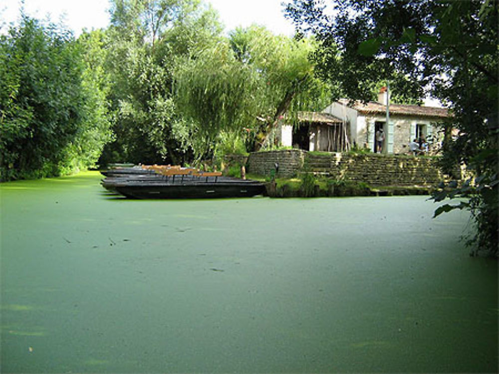 Marais poitevin Saint-Hilaire la Palud