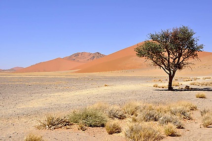 Parc National Namib-Naukluft