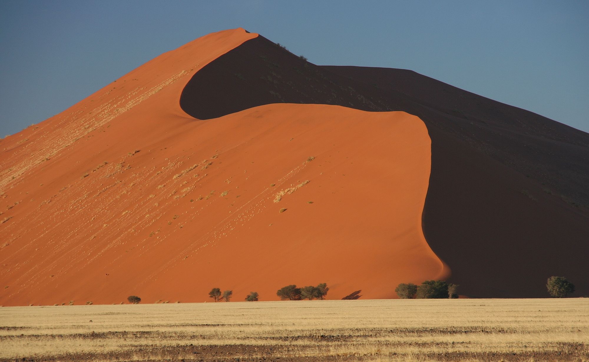 Quelque part dans le Namib