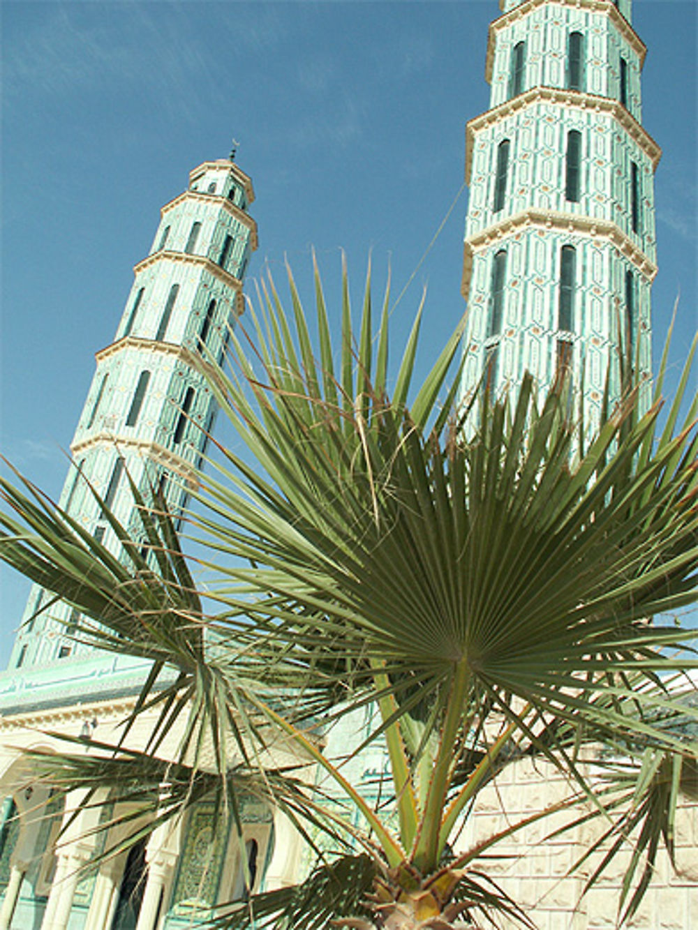 Mosquée verte à Zarzis