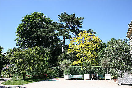 Le parc de Bagatelle (75)
