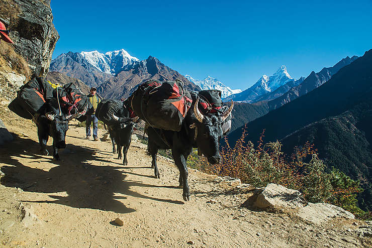 En pays sherpa au Népal
