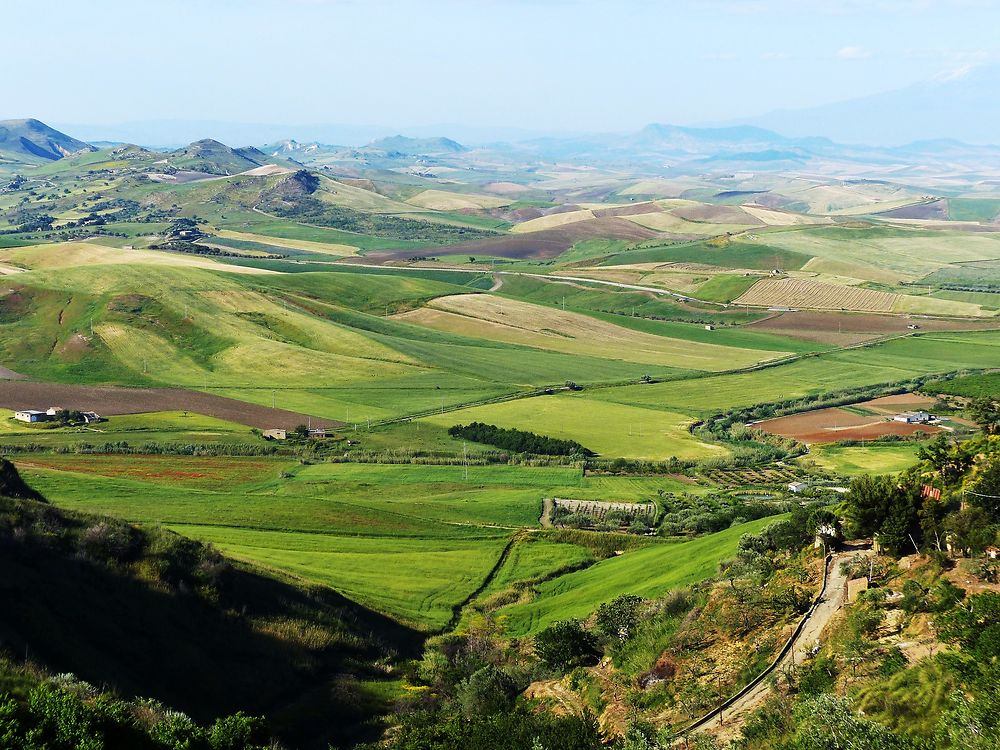 Campagne autour de Caltagirone