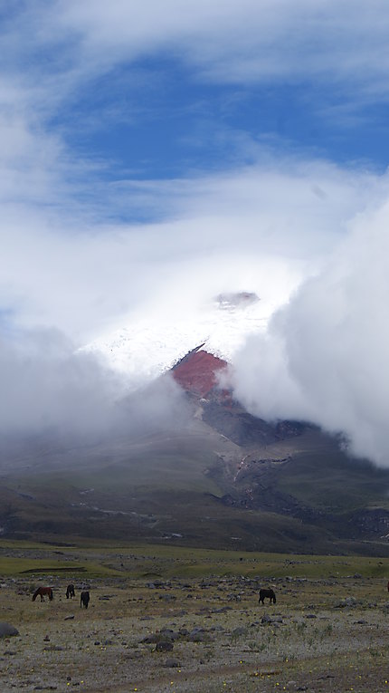 Le volcan Cotopaxi