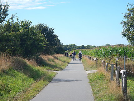 Balade à vélo sur l'île de Föhr