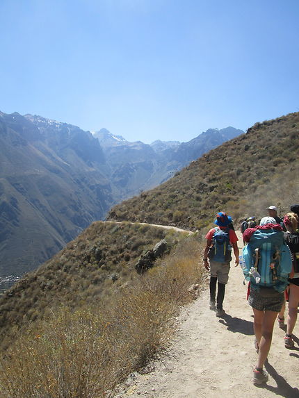 Trek du canyon de Colca