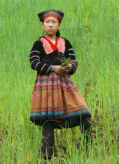 Jeune fille à Lai Châu Jeune fille à Lai Châu
