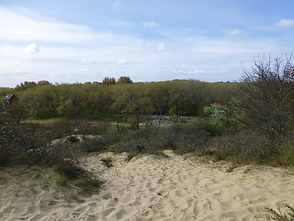 En haut de la dune