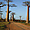Allée des Baobabs à Morondava