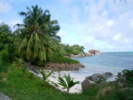 paysage sauvage des Seychelles paysage sauvage des Seychelles
