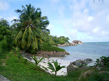 paysage sauvage des Seychelles