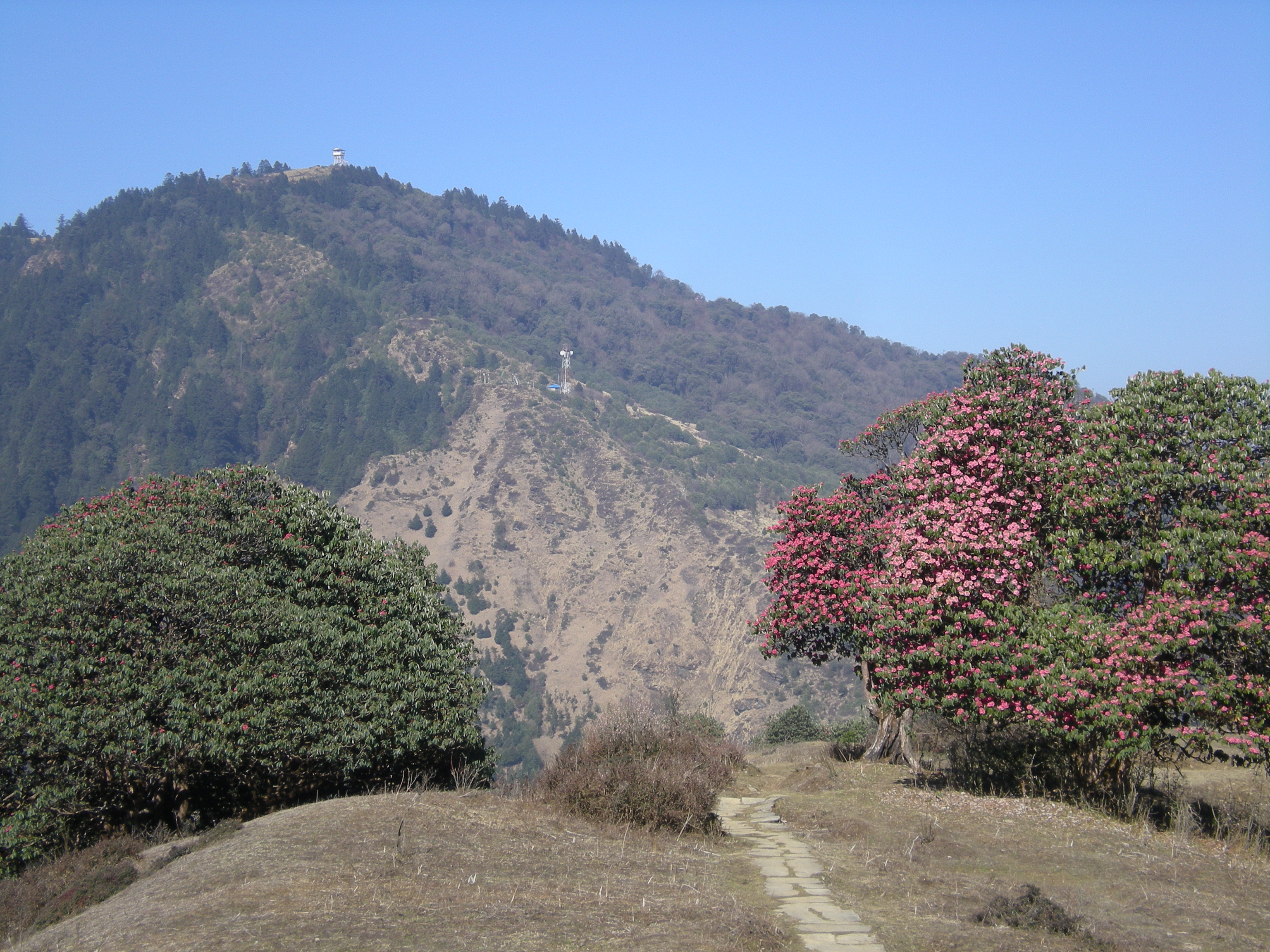 Poon Hill vu du col de Deurali Poon Hill vu du col de Deurali