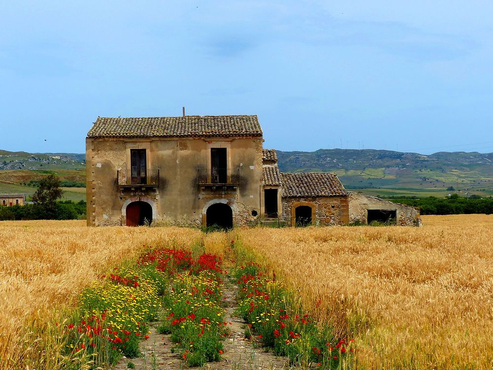 Campagne du côté de Catenanuova