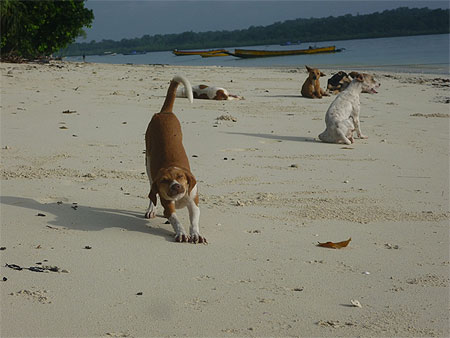 Streaching on the beach Streaching on the beach