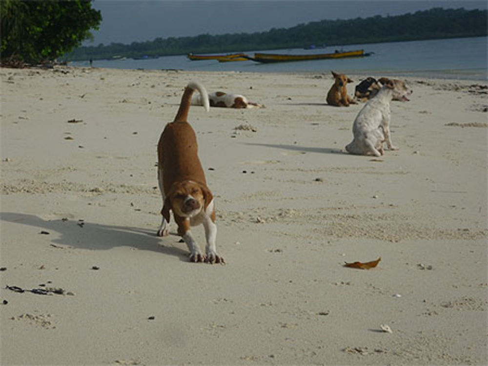 Streaching on the beach