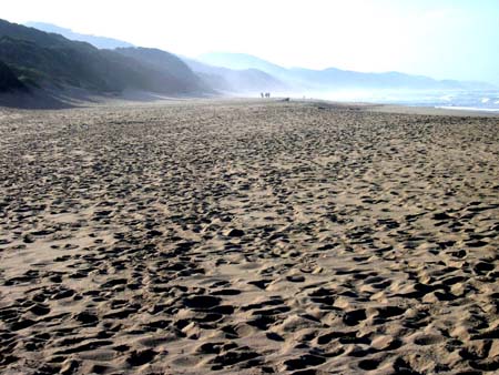 Plage près de Cape Vidal Plage près de Cape Vidal