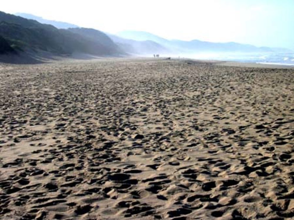 Plage près de Cape Vidal