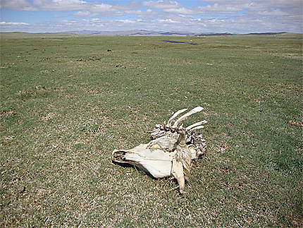 La mort dans la steppe