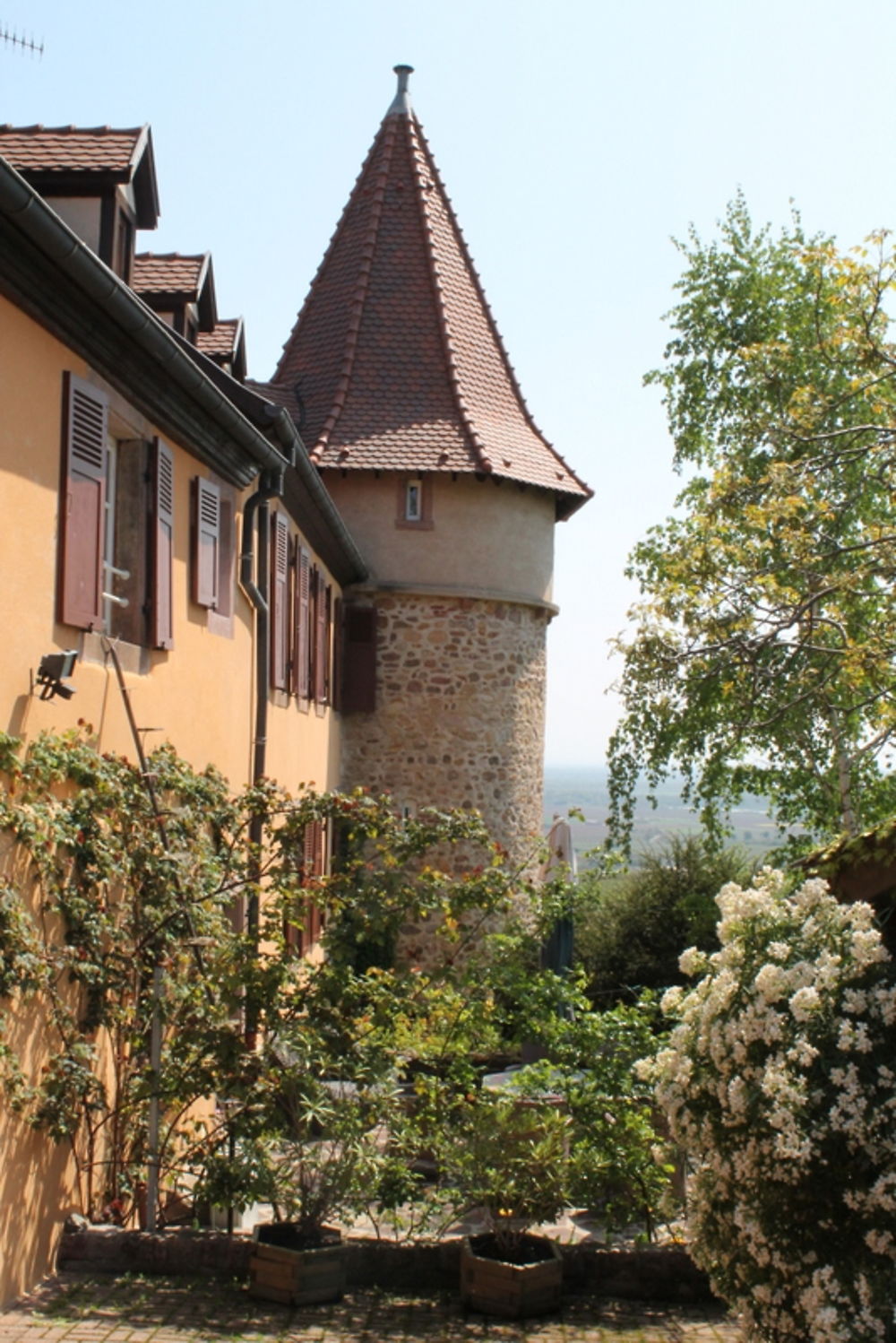 Tour d'angle Sud-Est du mur d'enceinte