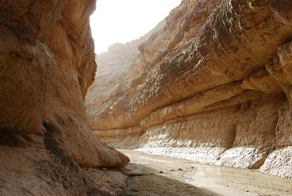 Les gorges de Selja