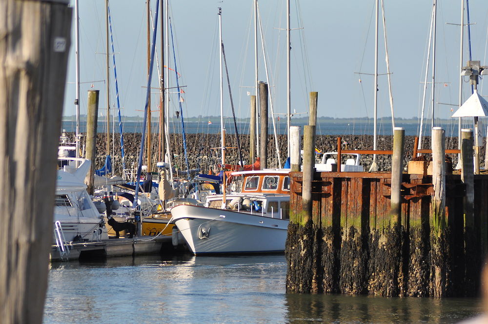 Port de Föhr