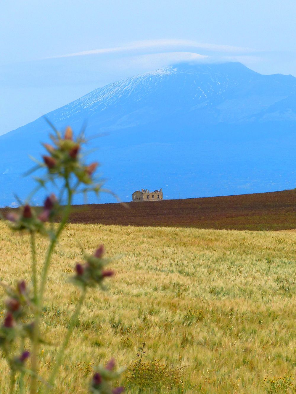 Campagne du côté de Catenanuova