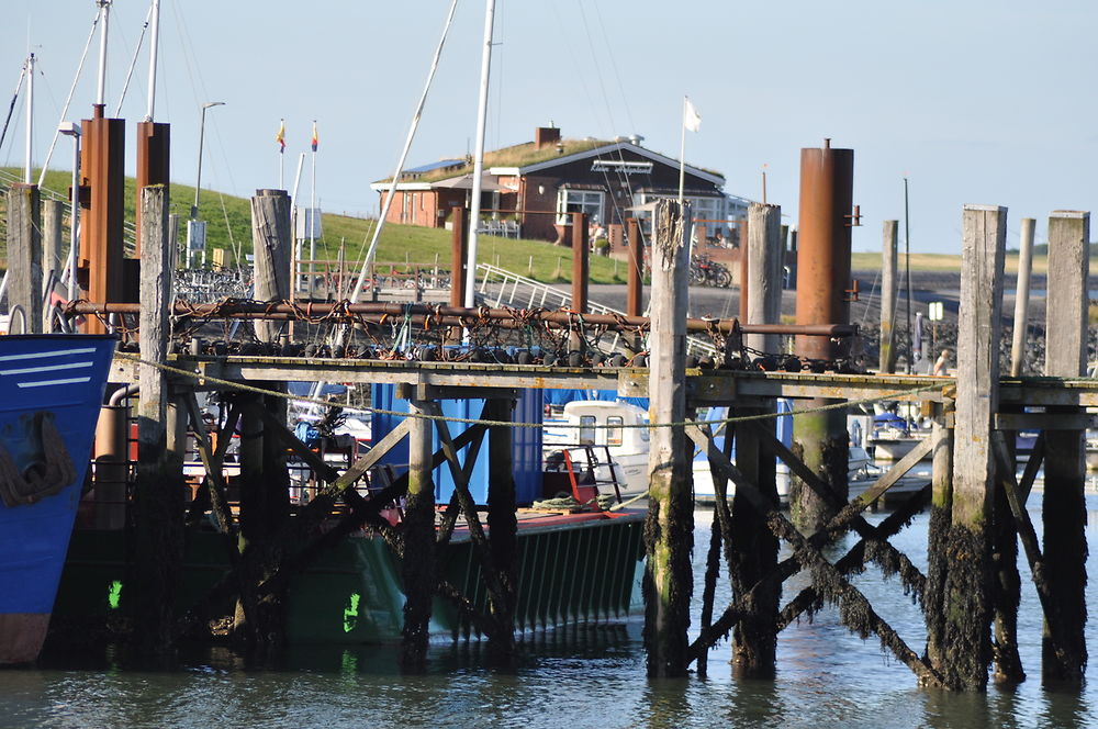 Dans le port de Föhr