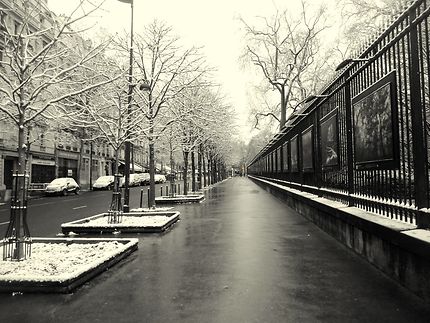 Rue de Médicis en hiver