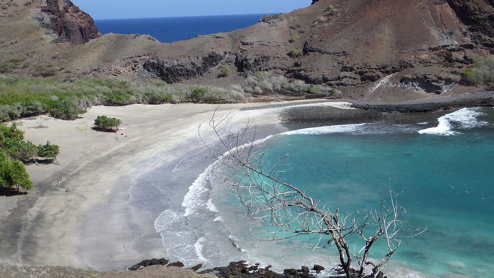 Baie des requins